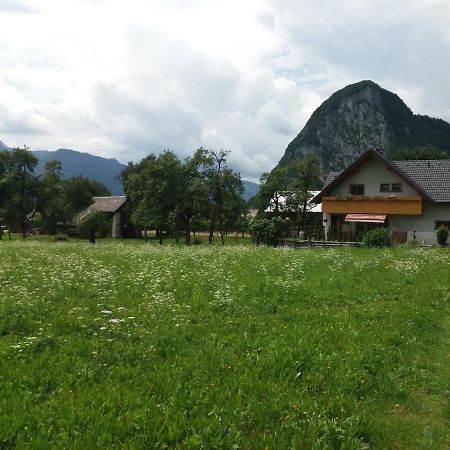 Apartmaji Bremec Bohinj Exteriér fotografie