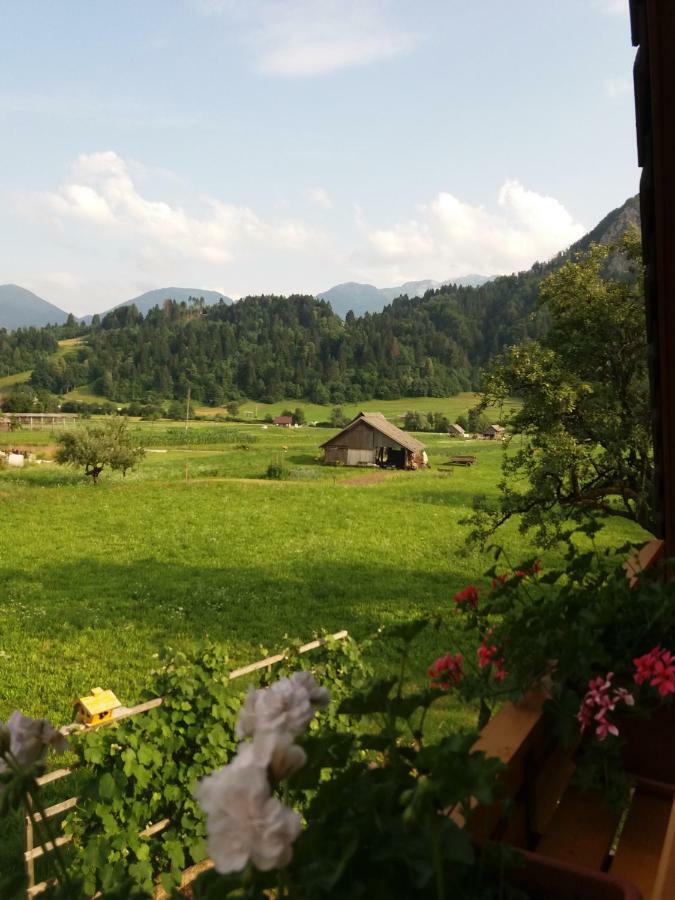 Apartmaji Bremec Bohinj Exteriér fotografie